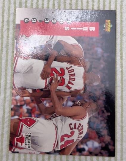 1993-94 Upper Deck #213 Michael Jordan — front