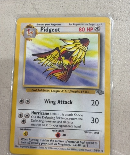 1999 Wizards of the Coast Jungle #24 Pidgeot — front