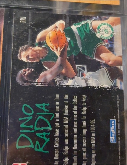 1994-95 SkyBox Premium Ragin' Rookies #RR1 Dino Radja Celtics — front