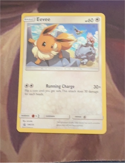 2019 Pokémon TCG SM235 Eevee — front