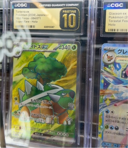 Pokémon (2024) Japanese Wild Force - 084 Torterra ex — front