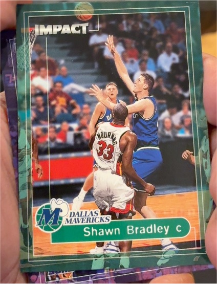 1999-00 SkyBox Impact #63 Shawn Bradley — front