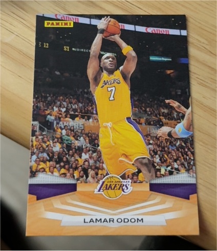 2009-10 Panini #274 Lamar Odom — front