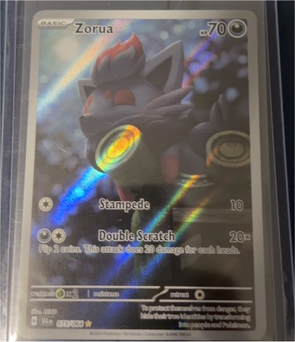 2024 Pokémon Sv: Shrouded Fable #075 Zorua — front