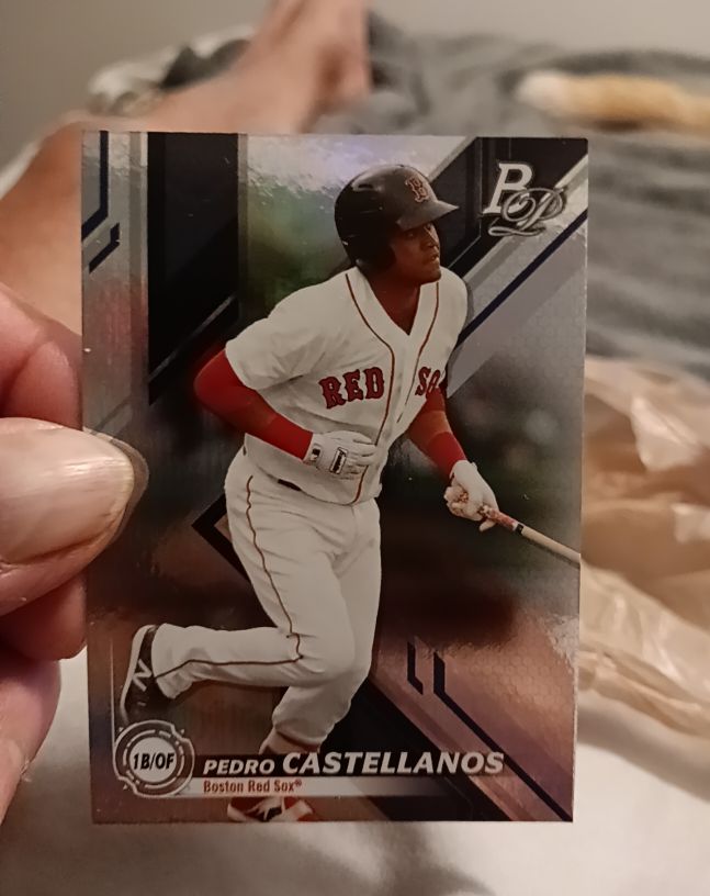 2019 Bowman Platinum Top Prospects #TOP-87 Pedro Castellanos — front
