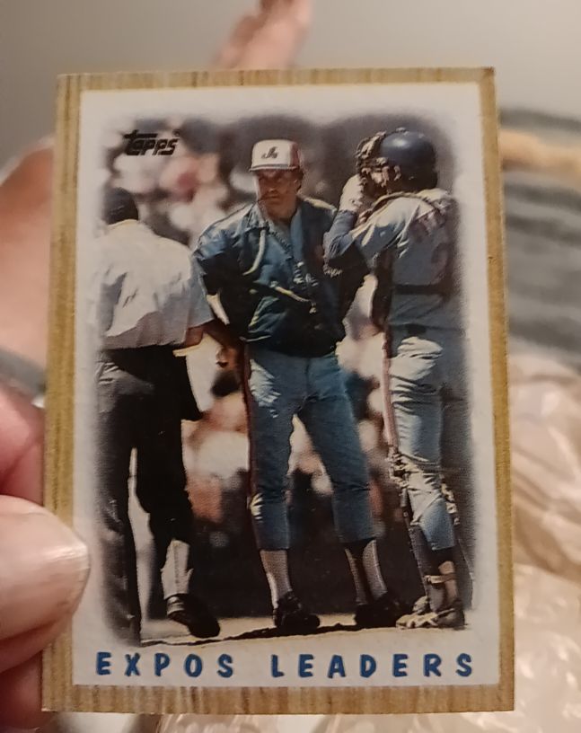1987 Topps #381 Montreal Expos Team Leaders — front