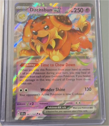 2024 Pokémon TCG #067 Dachsbun ex — front