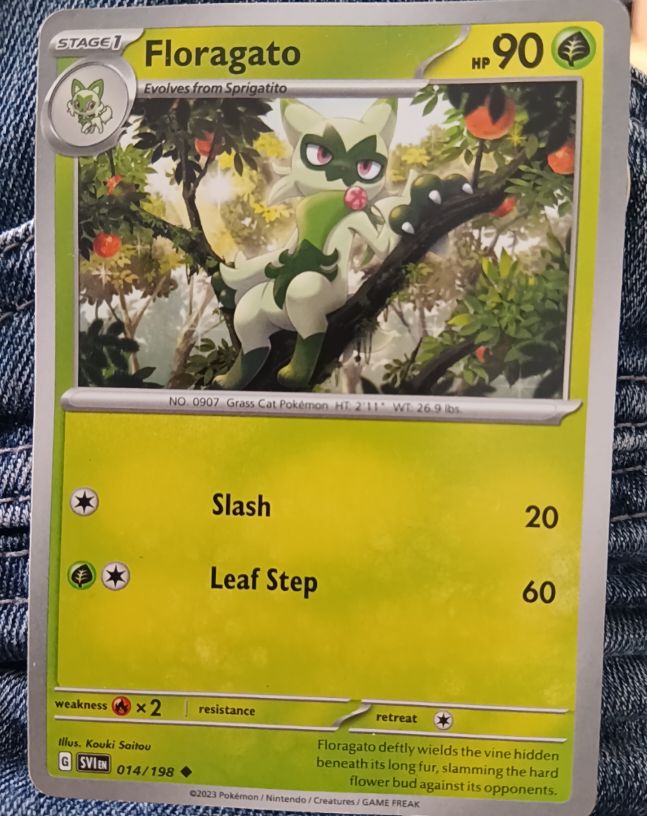 2023 Pokémon Scarlet & Violet #014 Floragato — front