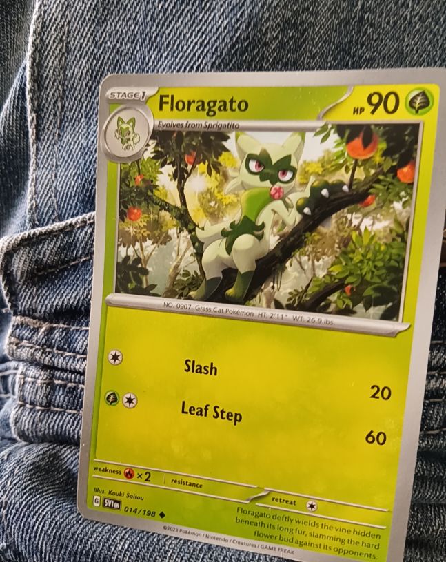 2023 Pokémon Scarlet & Violet #014 Floragato — front