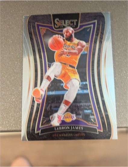 2024-25 Panini Select #310 LeBron James — front