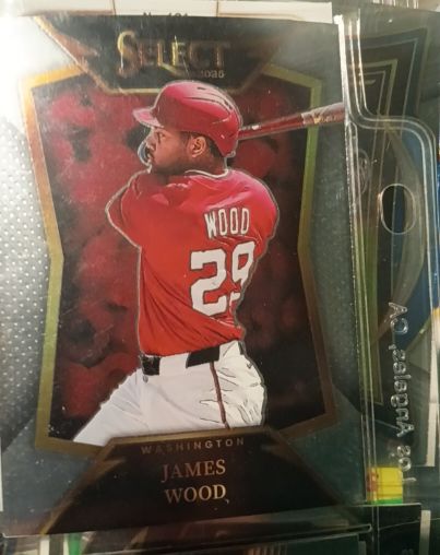 2025 Panini Select Throwback #19 James Wood — front