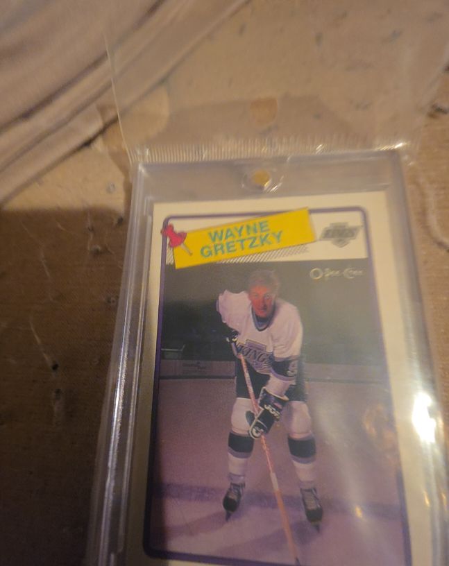 1988-89 O-Pee-Chee #120 Wayne Gretzky — front