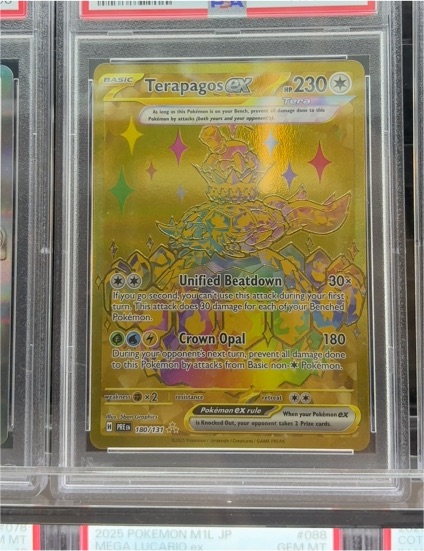 2024 Pokemon TCG Terapagos ex #180/131 — front