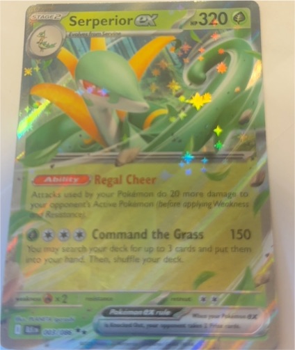 Serperior ex 003/086 Black Bolt — front