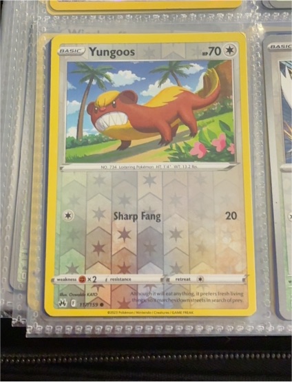 2023 Pokémon Crown Zenith #117 Yungoos — front