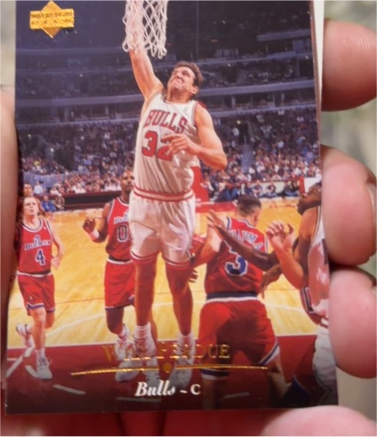 1995-96 Upper Deck #70 Will Perdue — front
