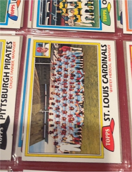 1981 Topps #684 St. Louis Cardinals Team Card — front
