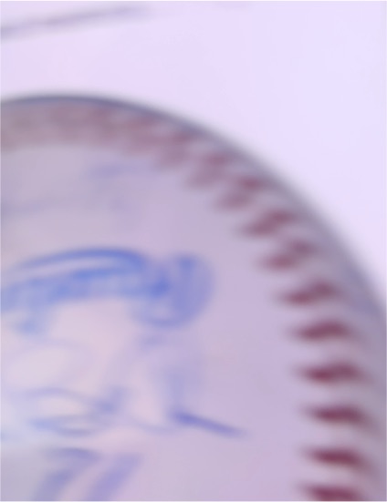 Rawlings Official League Baseball — front