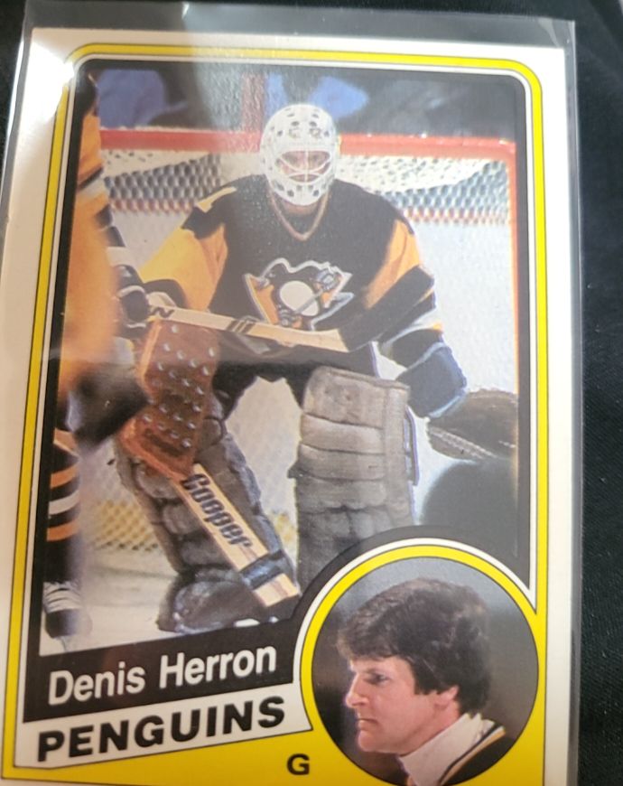 1984-85 O-Pee-Chee #176 Denis Herron — front