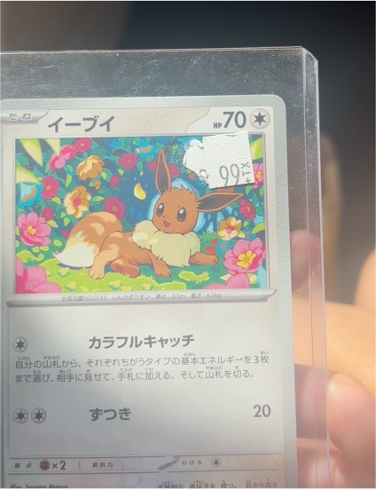 2024 Pokémon 050 Eevee — front