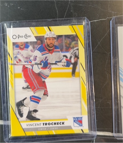 2024-25 O-Pee-Chee #101 Vincent Trocheck — front