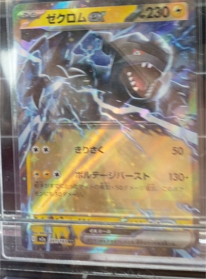 2025 Pokémon #051 Zekrom EX — front