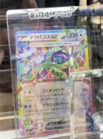 2024 Pokémon Terapagos ex #145/193 — front