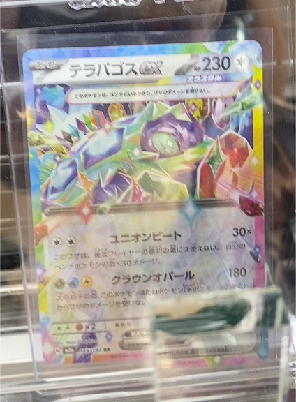 2024 Pokémon Terapagos ex #145/193 — front
