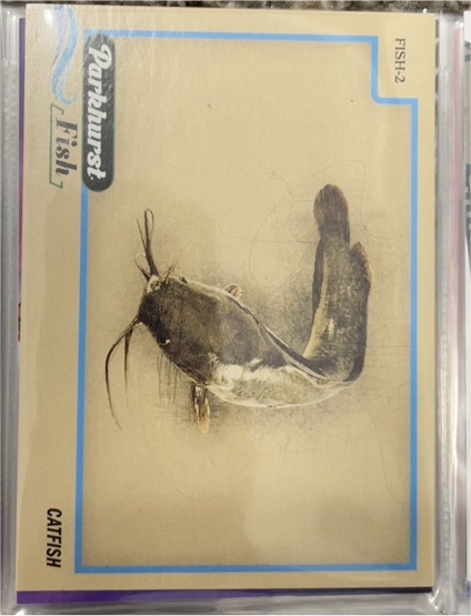 2025-26 Parkhurst Fish #FISH-2 Catfish — front