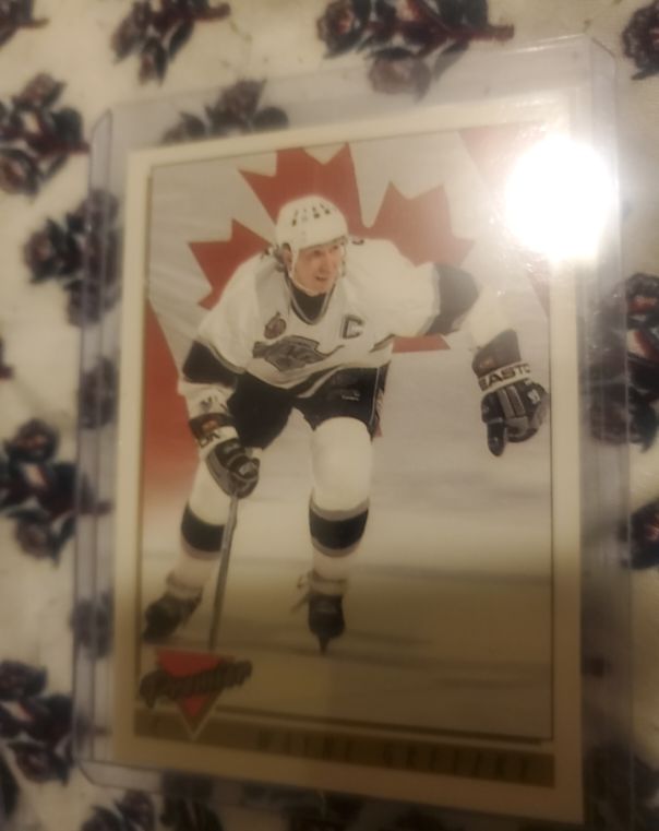1993-94 Topps Gold #380 Wayne Gretzky — front