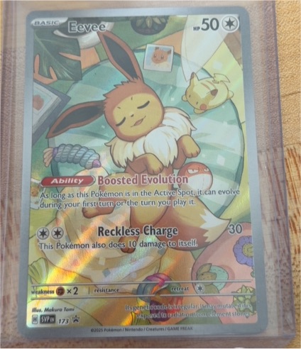 2025 Pokémon SV Black Star Promo #173 Eevee — front