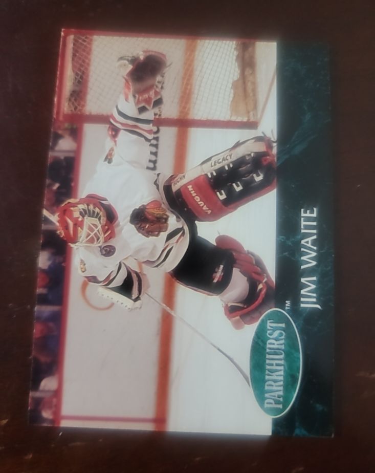 1992-93 Parkhurst #270 Jim Waite — front
