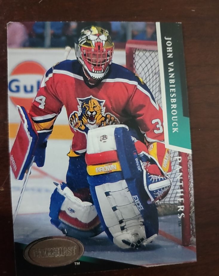 1993 Parkhurst #73 John Vanbiesbrouck — front