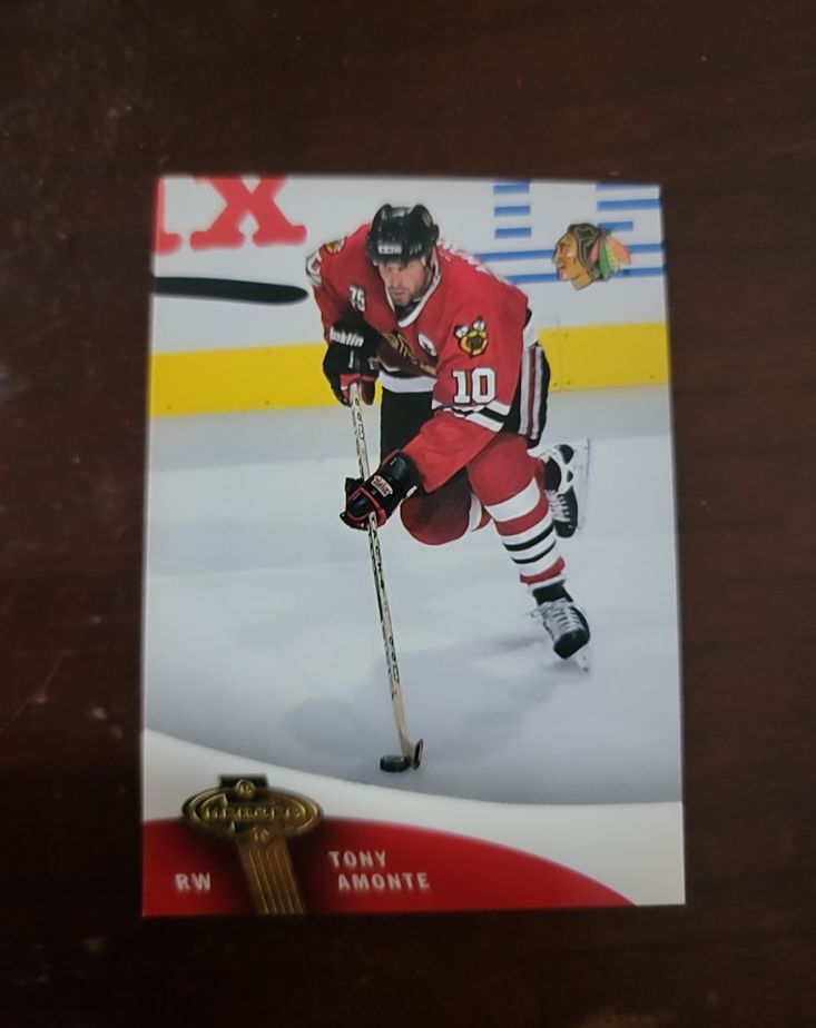 1994 Leaf #411 Tony Amonte — front