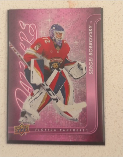 2024-25 Upper Deck Series 1 #DZ-17 Sergei Bobrovsky — front