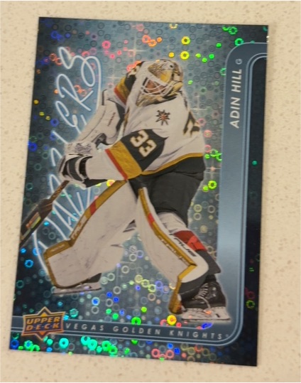 2024-25 Upper Deck Series 1 #DZ-26 Adin Hill Dazzlers — front