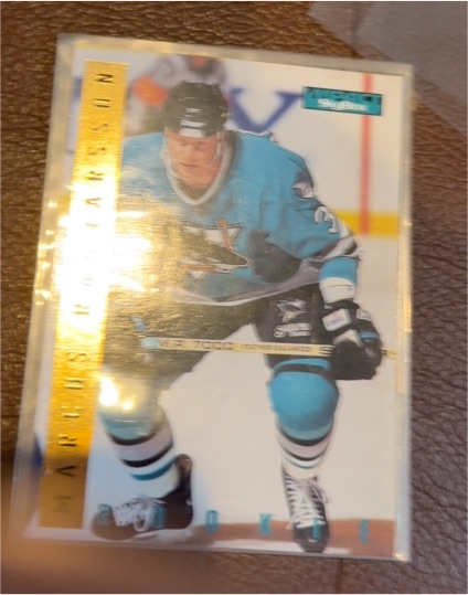 1994-95 Leaf #482 Arturs Irbe — front
