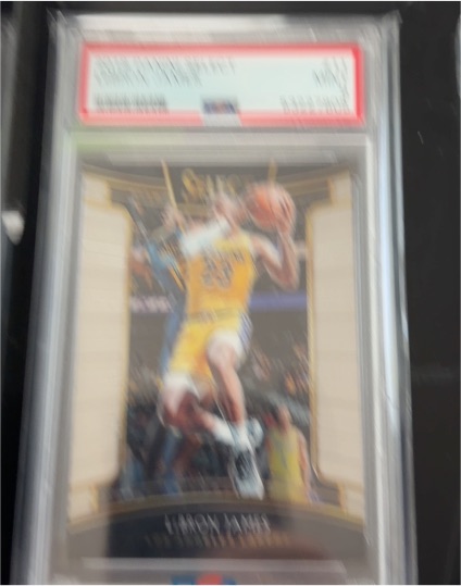 2018-19 Panini Select #11 LeBron James — front