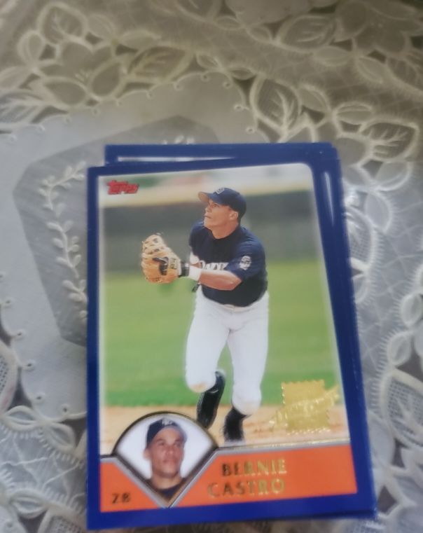 2003 Topps #303 Bernie Castro — front
