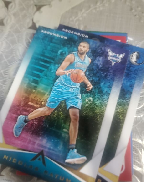 2017-18 Panini Ascension #65 Nicolas Batum — front