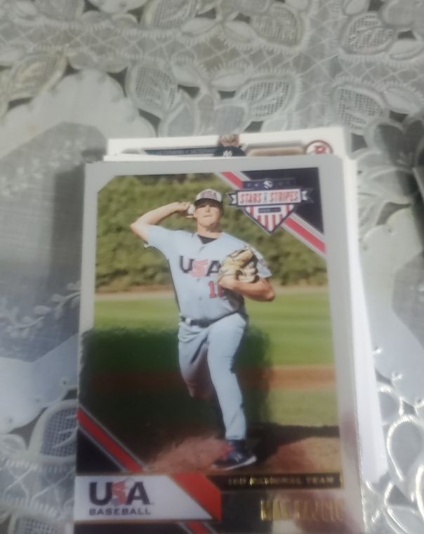 2020 Panini USA Baseball Stars and Stripes #79 Austin Hendrick — front