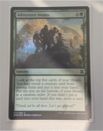 2020 Magic: The Gathering Zendikar Rising #177 Adventure Awaits — front