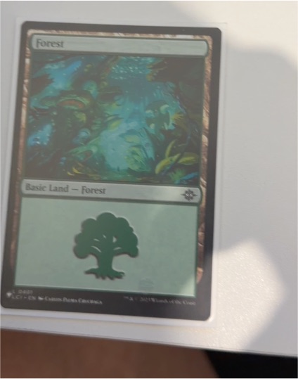2019 Magic: The Gathering #76 Forest — front