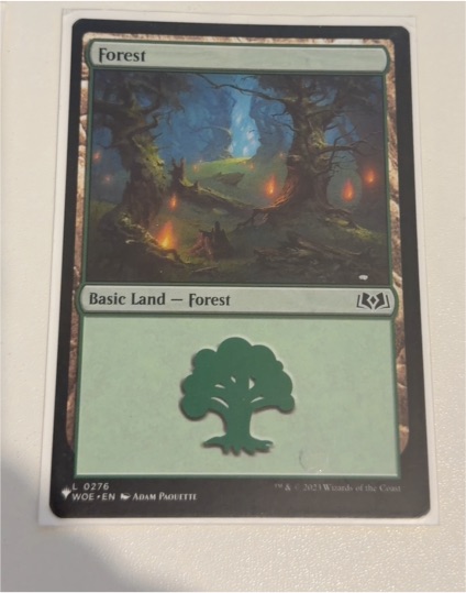 2021 Magic: The Gathering #276 Forest — front