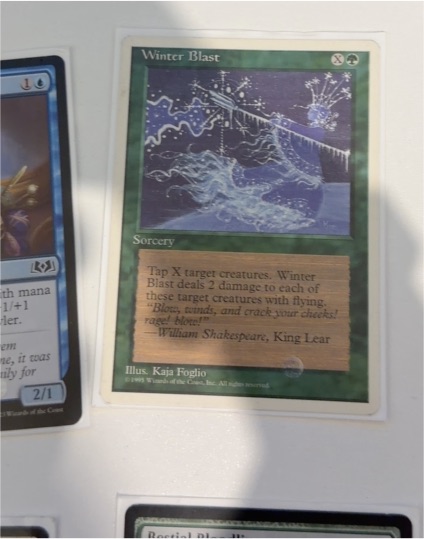 1994 Magic: The Gathering #290 Winter Blast — front