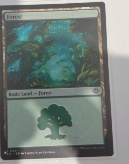 2013 Magic: The Gathering #0401 Forest — front
