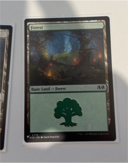 The Brothers' War #276 Forest — front