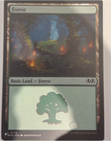 2021 Magic: The Gathering #276 Forest — front