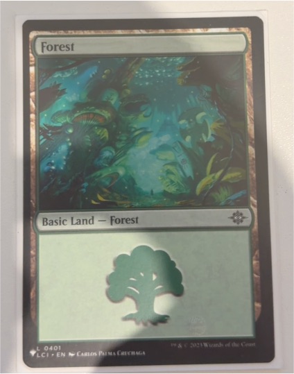 2023 Magic: The Gathering #0401 Forest — front