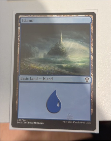 Magic: The Gathering Dominaria United #265 Island — front